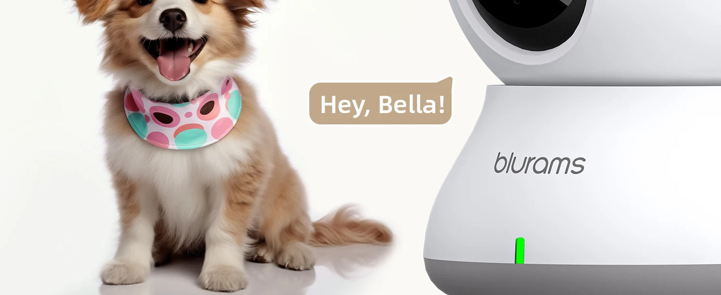 2K WiFi Indoor Security Camera