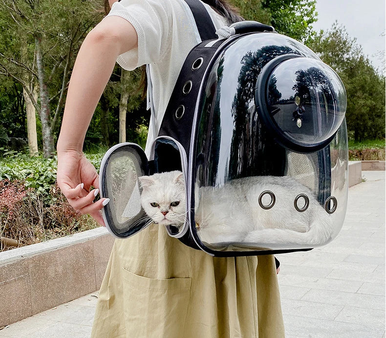 Person holding a transparent pet backpack with a cat peeking out, outdoors.