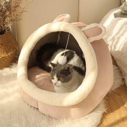 Foldable Cartoon Pet Bed with Removable & Washable Cushion