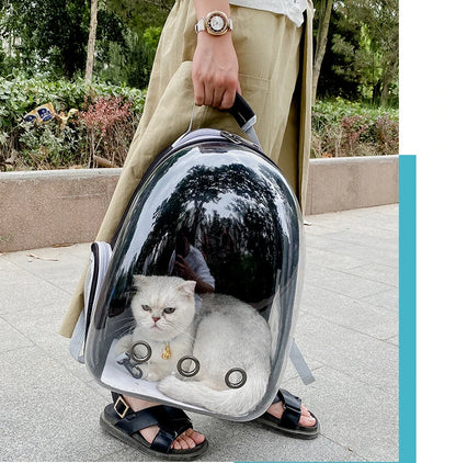 Person carrying a transparent pet backpack with a cat inside, outdoors.