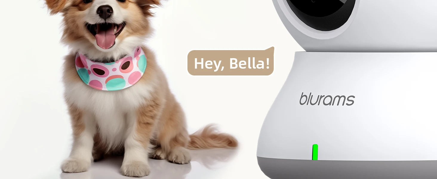2K WiFi Indoor Security Camera