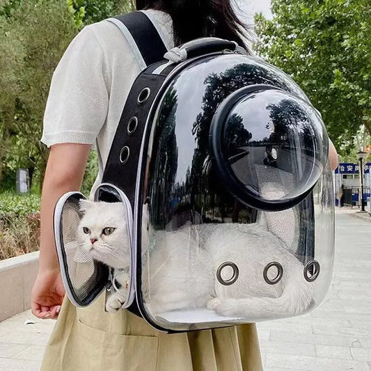 Portable Transparent Puppy Backpack