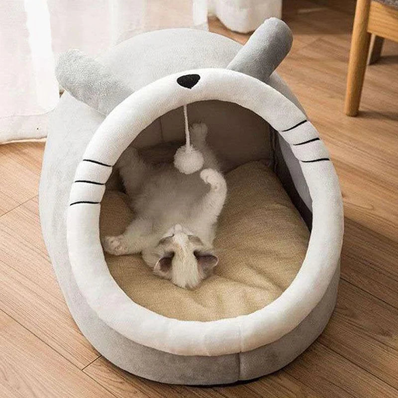 Foldable Cartoon Pet Bed with Removable & Washable Cushion