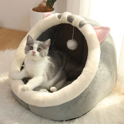 Foldable Cartoon Pet Bed with Removable & Washable Cushion