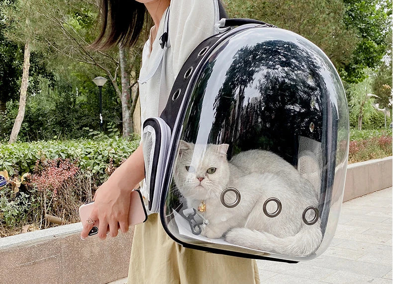 Person holding a transparent pet backpack with a cat inside, outdoors.