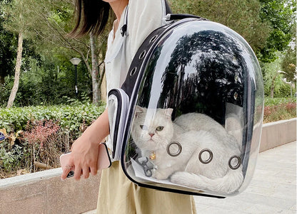 Person holding a transparent pet backpack with a cat inside, outdoors.