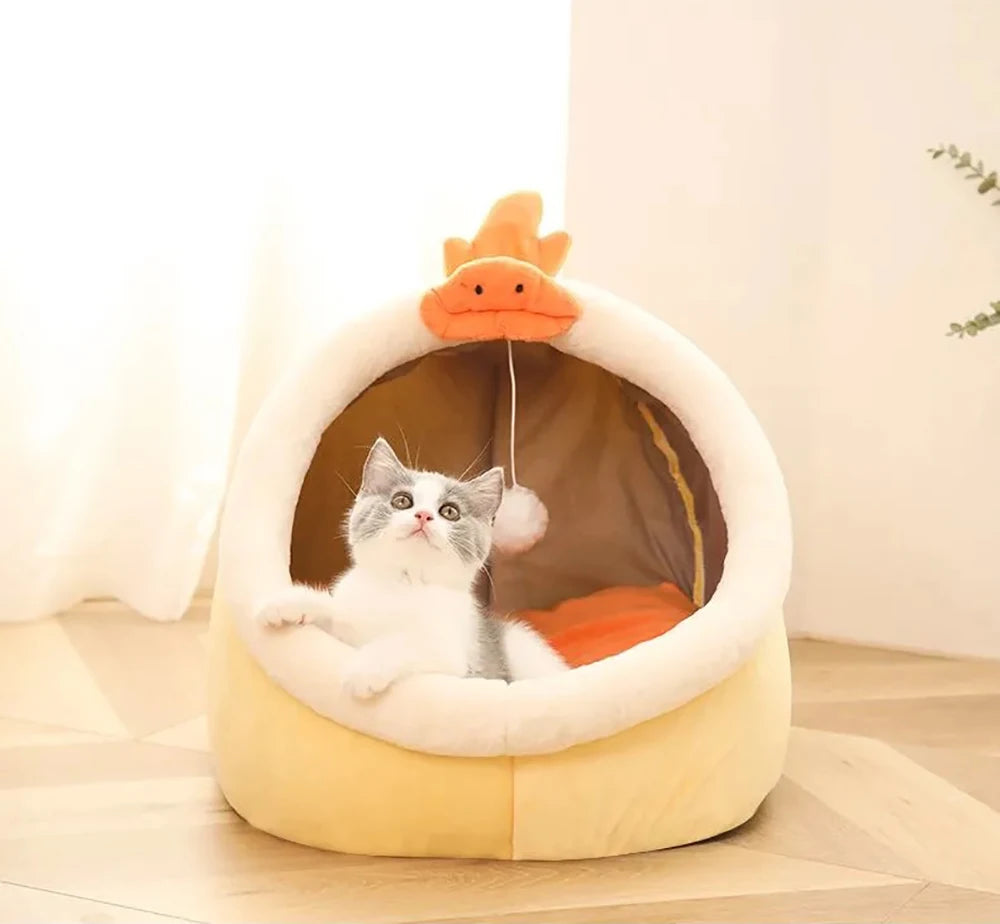 Foldable Cartoon Pet Bed with Removable & Washable Cushion